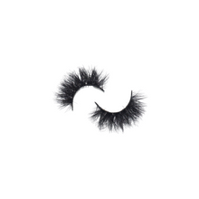 Load image into Gallery viewer, Shasta
